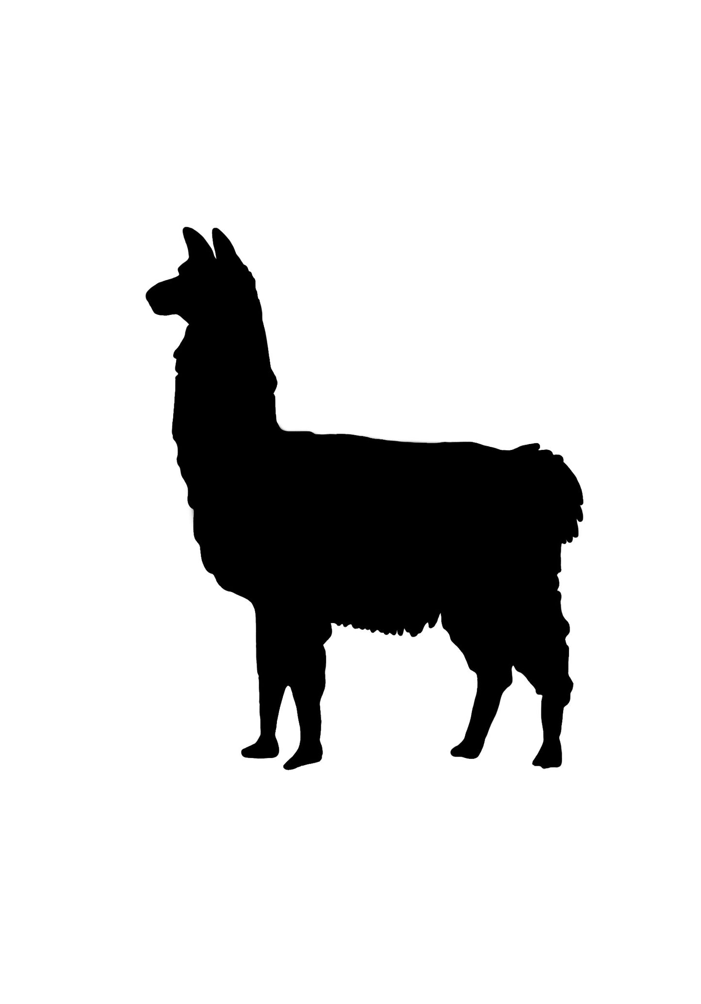 Alpaca Image