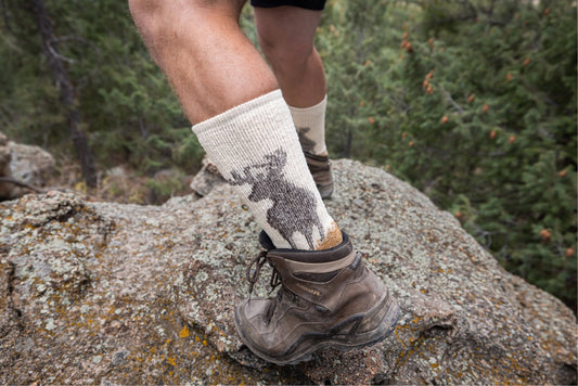 Oh Deer Heavyweight OTC Sock - Lifestyle Image
