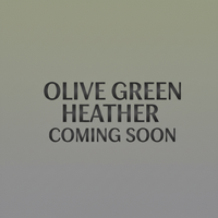 Merino Ultra Cool-Lite Lightweight Crew Sock - Olive Green Heather swatch - by Wigwam Socks
